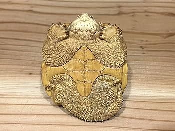 カミツキガメの甲羅 オブジェ 亀 カメ カミツキガメ インテリア 置物フィギュア カミツキガメの甲羅 オブジェ 亀 カメ カミツキガメ インテリア